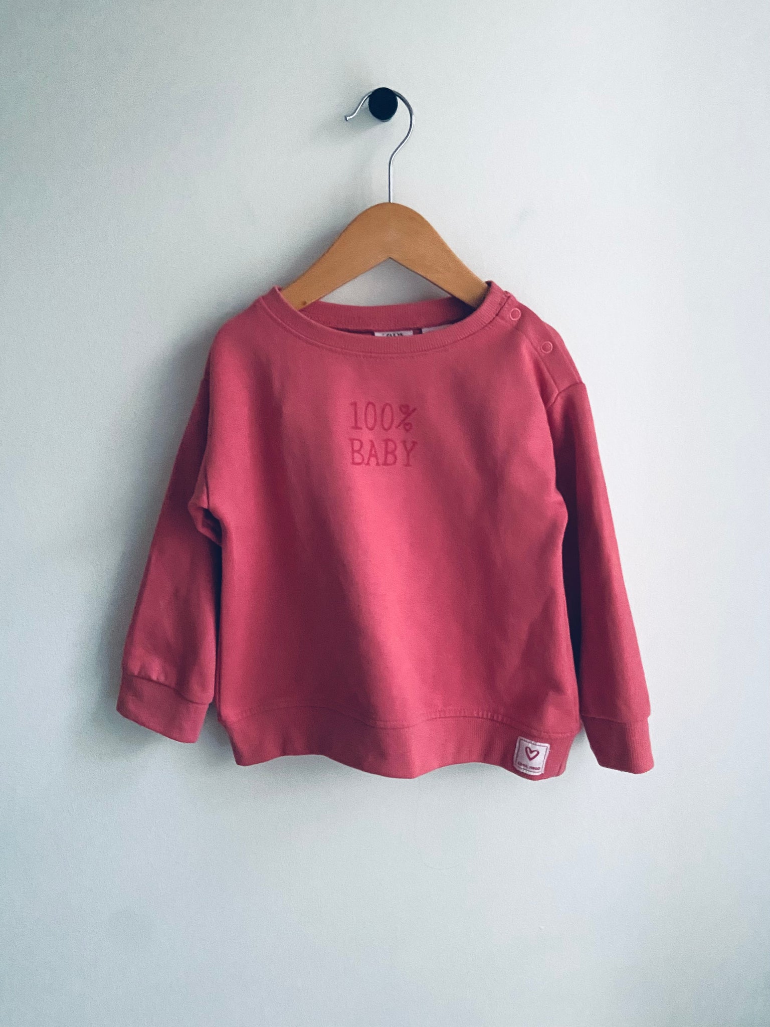 Zara | Graphic Pullover (3-4Y)