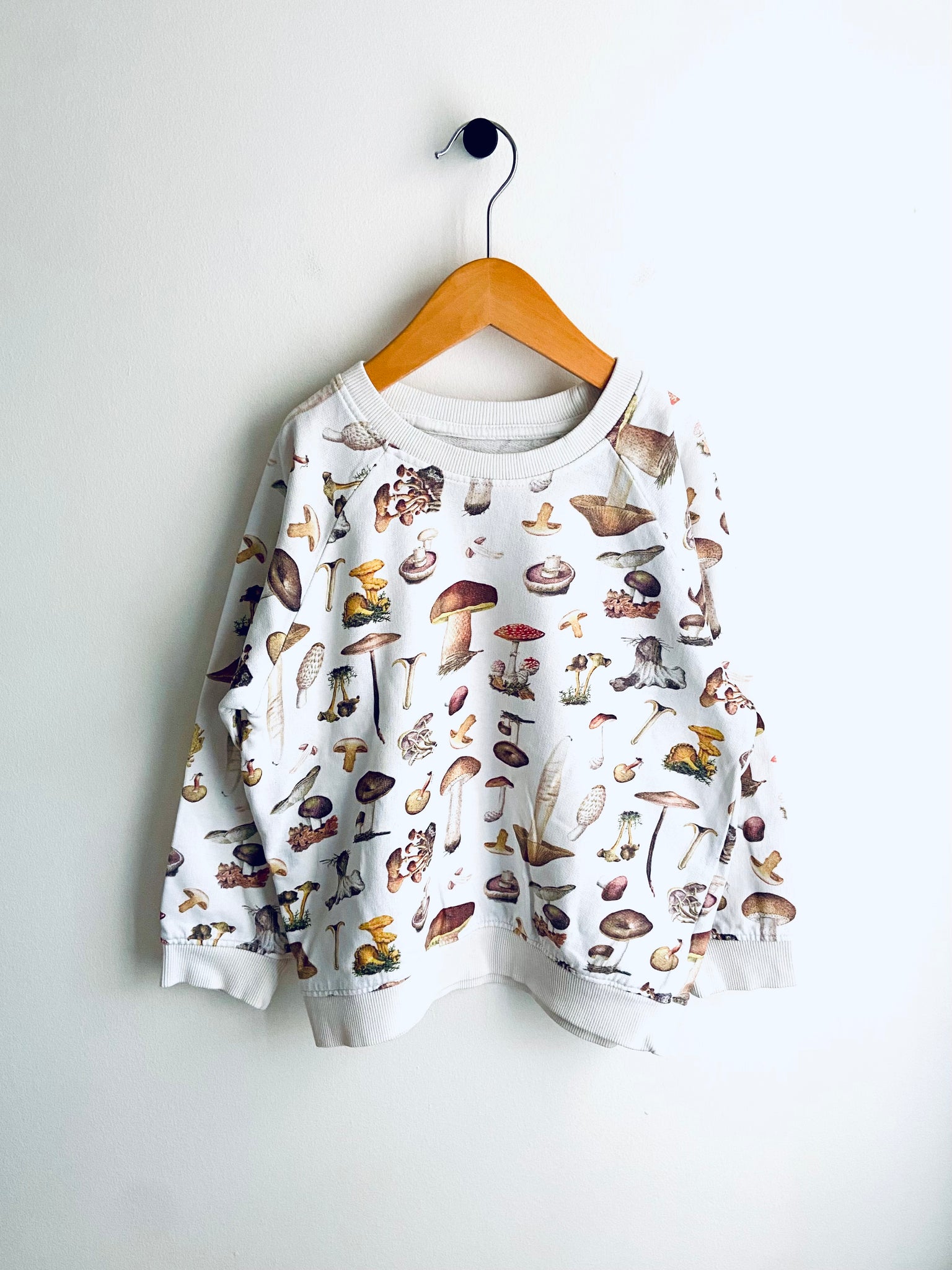 Dedicated | Organic Cotton Mushroom Print Sweatshirt (7-8Y)