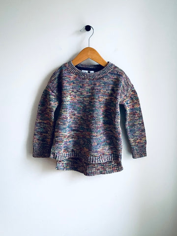 Gap | Multi Colour Knit Sweater (4-5Y)