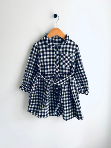Zara | Gingham Dress (4-5Y)