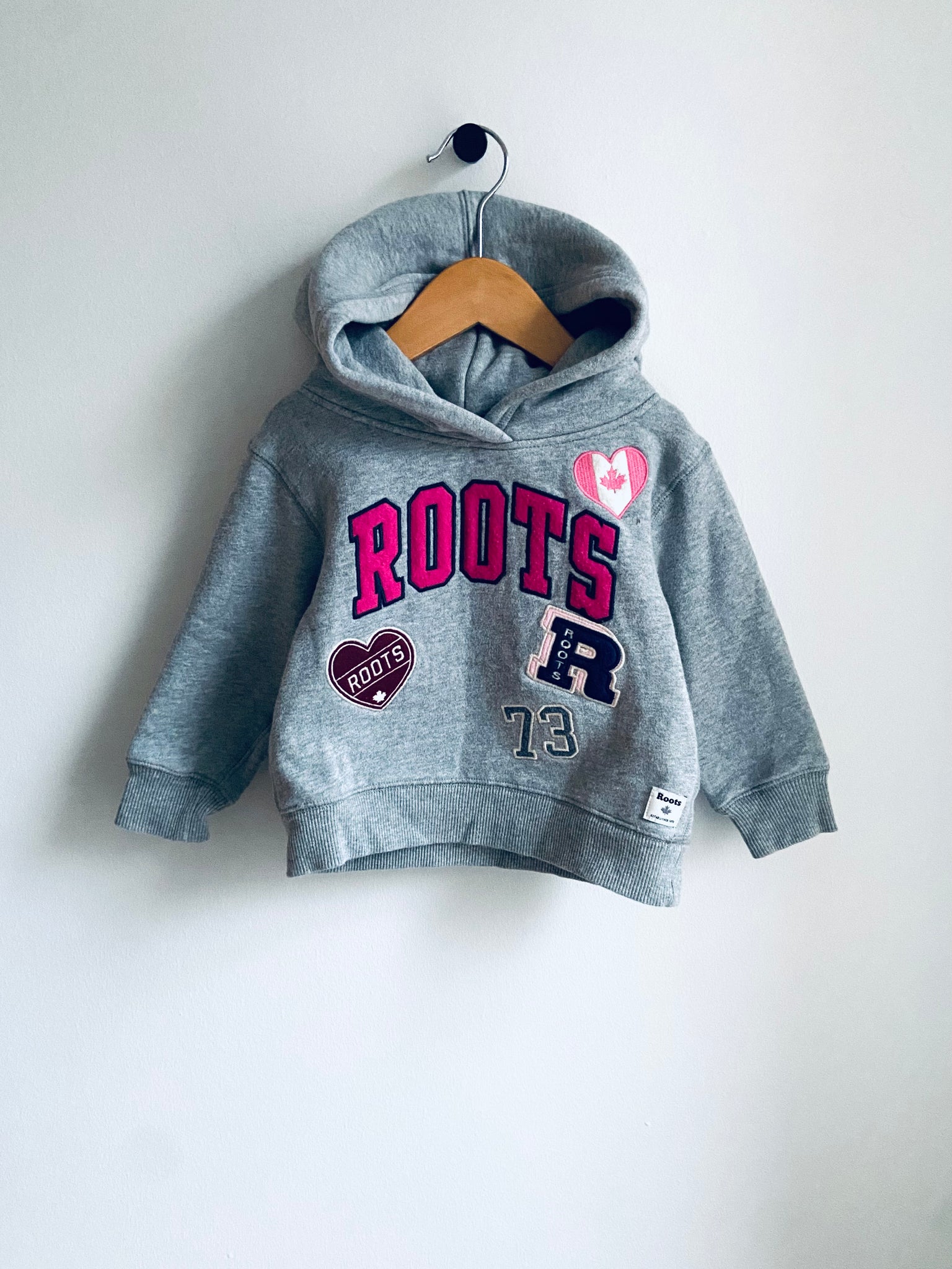 Roots | Grey Roots 73 Pullover Hoodie (3Y)
